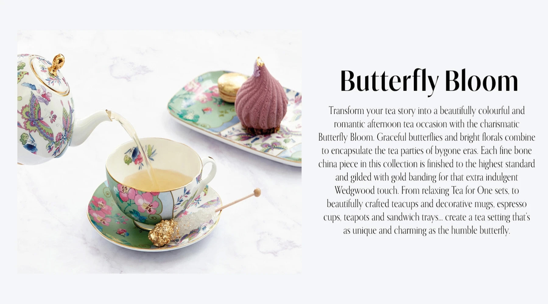 Butterfly Bloom Teacup & Saucer Set in Butterfly Posy