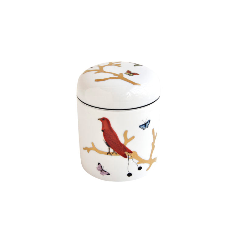 Aux Oiseaux Airtight Box Large