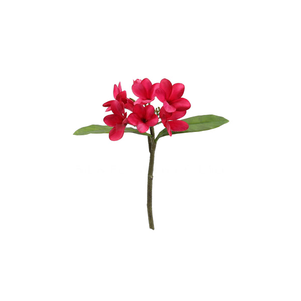 Silk Hot Pink Frangipani